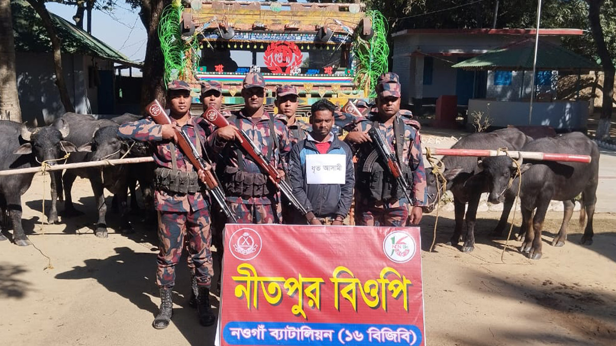 নওগাঁ সীমান্তে ছয় মহিষসহ চোরাকারবারি আটক